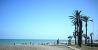 ofeta piso alado de la playa para julio y agosto por semana o quincena y la semana de la feria