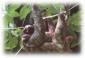 2000 HECTAREAS DE BOSQUE PRIMARIO,...