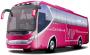BUSES Y MINI BUSES NUEVOS A�O 2007...